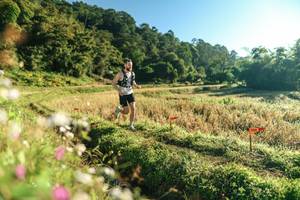 BIB: 
                            <button type="button" onclick="openModal(26632080)" class="btn btn-primary btn-sm float-right btn-popup" data-toggle="modal" data-target=".modal-high-quality">
                        <i class="fas fa-shopping-cart"></i> Add to Cart
                    </button>
                                            <button type="button" onclick="isThisMe(26632080, true)" class="btn btn-success btn-sm float-right btn-popup btn-isme hidden" data-toggle="tooltip" data-placement="bottom" title="นี่คือรูปของคุณใช่ไหม คลิกที่นี่เพื่อเอาเข้าอัลบั้ม">
                        <i class="fas fa-plus"></i> Add to album
                    </button>
                    <button type="button" onclick="isThisMe(26632080, false)" class="btn btn-warning btn-sm float-right btn-popup btn-isnotme hidden">
                        <i class="fas fa-ban"></i> Remove from album
                    </button>