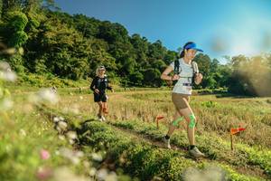 BIB: 
                            <button type="button" onclick="openModal(26671513)" class="btn btn-primary btn-sm float-right btn-popup" data-toggle="modal" data-target=".modal-high-quality">
                        <i class="fas fa-shopping-cart"></i> Add to Cart
                    </button>
                                            <button type="button" onclick="isThisMe(26671513, true)" class="btn btn-success btn-sm float-right btn-popup btn-isme hidden" data-toggle="tooltip" data-placement="bottom" title="นี่คือรูปของคุณใช่ไหม คลิกที่นี่เพื่อเอาเข้าอัลบั้ม">
                        <i class="fas fa-plus"></i> Add to album
                    </button>
                    <button type="button" onclick="isThisMe(26671513, false)" class="btn btn-warning btn-sm float-right btn-popup btn-isnotme hidden">
                        <i class="fas fa-ban"></i> Remove from album
                    </button>