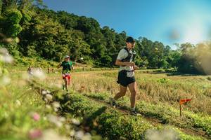 BIB: 
                            <button type="button" onclick="openModal(26638505)" class="btn btn-primary btn-sm float-right btn-popup" data-toggle="modal" data-target=".modal-high-quality">
                        <i class="fas fa-shopping-cart"></i> Add to Cart
                    </button>
                                            <button type="button" onclick="isThisMe(26638505, true)" class="btn btn-success btn-sm float-right btn-popup btn-isme hidden" data-toggle="tooltip" data-placement="bottom" title="นี่คือรูปของคุณใช่ไหม คลิกที่นี่เพื่อเอาเข้าอัลบั้ม">
                        <i class="fas fa-plus"></i> Add to album
                    </button>
                    <button type="button" onclick="isThisMe(26638505, false)" class="btn btn-warning btn-sm float-right btn-popup btn-isnotme hidden">
                        <i class="fas fa-ban"></i> Remove from album
                    </button>