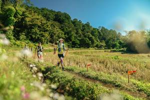 BIB: 
                            <button type="button" onclick="openModal(26689534)" class="btn btn-primary btn-sm float-right btn-popup" data-toggle="modal" data-target=".modal-high-quality">
                        <i class="fas fa-shopping-cart"></i> Add to Cart
                    </button>
                                            <button type="button" onclick="isThisMe(26689534, true)" class="btn btn-success btn-sm float-right btn-popup btn-isme hidden" data-toggle="tooltip" data-placement="bottom" title="นี่คือรูปของคุณใช่ไหม คลิกที่นี่เพื่อเอาเข้าอัลบั้ม">
                        <i class="fas fa-plus"></i> Add to album
                    </button>
                    <button type="button" onclick="isThisMe(26689534, false)" class="btn btn-warning btn-sm float-right btn-popup btn-isnotme hidden">
                        <i class="fas fa-ban"></i> Remove from album
                    </button>