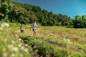 BIB: 
                            <button type="button" onclick="openModal(26726233)" class="btn btn-primary btn-sm float-right btn-popup" data-toggle="modal" data-target=".modal-high-quality">
                        <i class="fas fa-shopping-cart"></i> Add to Cart
                    </button>
                                            <button type="button" onclick="isThisMe(26726233, true)" class="btn btn-success btn-sm float-right btn-popup btn-isme hidden" data-toggle="tooltip" data-placement="bottom" title="นี่คือรูปของคุณใช่ไหม คลิกที่นี่เพื่อเอาเข้าอัลบั้ม">
                        <i class="fas fa-plus"></i> Add to album
                    </button>
                    <button type="button" onclick="isThisMe(26726233, false)" class="btn btn-warning btn-sm float-right btn-popup btn-isnotme hidden">
                        <i class="fas fa-ban"></i> Remove from album
                    </button>