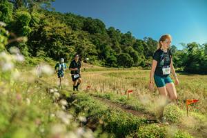 BIB: 
                            <button type="button" onclick="openModal(26709175)" class="btn btn-primary btn-sm float-right btn-popup" data-toggle="modal" data-target=".modal-high-quality">
                        <i class="fas fa-shopping-cart"></i> Add to Cart
                    </button>
                                            <button type="button" onclick="isThisMe(26709175, true)" class="btn btn-success btn-sm float-right btn-popup btn-isme hidden" data-toggle="tooltip" data-placement="bottom" title="นี่คือรูปของคุณใช่ไหม คลิกที่นี่เพื่อเอาเข้าอัลบั้ม">
                        <i class="fas fa-plus"></i> Add to album
                    </button>
                    <button type="button" onclick="isThisMe(26709175, false)" class="btn btn-warning btn-sm float-right btn-popup btn-isnotme hidden">
                        <i class="fas fa-ban"></i> Remove from album
                    </button>