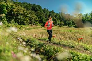 BIB: 
                            <button type="button" onclick="openModal(26698876)" class="btn btn-primary btn-sm float-right btn-popup" data-toggle="modal" data-target=".modal-high-quality">
                        <i class="fas fa-shopping-cart"></i> Add to Cart
                    </button>
                                            <button type="button" onclick="isThisMe(26698876, true)" class="btn btn-success btn-sm float-right btn-popup btn-isme hidden" data-toggle="tooltip" data-placement="bottom" title="นี่คือรูปของคุณใช่ไหม คลิกที่นี่เพื่อเอาเข้าอัลบั้ม">
                        <i class="fas fa-plus"></i> Add to album
                    </button>
                    <button type="button" onclick="isThisMe(26698876, false)" class="btn btn-warning btn-sm float-right btn-popup btn-isnotme hidden">
                        <i class="fas fa-ban"></i> Remove from album
                    </button>