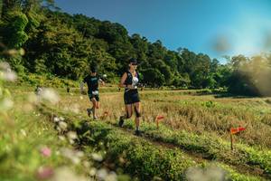 BIB: 
                            <button type="button" onclick="openModal(26638656)" class="btn btn-primary btn-sm float-right btn-popup" data-toggle="modal" data-target=".modal-high-quality">
                        <i class="fas fa-shopping-cart"></i> Add to Cart
                    </button>
                                            <button type="button" onclick="isThisMe(26638656, true)" class="btn btn-success btn-sm float-right btn-popup btn-isme hidden" data-toggle="tooltip" data-placement="bottom" title="นี่คือรูปของคุณใช่ไหม คลิกที่นี่เพื่อเอาเข้าอัลบั้ม">
                        <i class="fas fa-plus"></i> Add to album
                    </button>
                    <button type="button" onclick="isThisMe(26638656, false)" class="btn btn-warning btn-sm float-right btn-popup btn-isnotme hidden">
                        <i class="fas fa-ban"></i> Remove from album
                    </button>