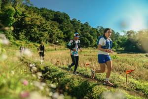 BIB: 
                            <button type="button" onclick="openModal(26638463)" class="btn btn-primary btn-sm float-right btn-popup" data-toggle="modal" data-target=".modal-high-quality">
                        <i class="fas fa-shopping-cart"></i> Add to Cart
                    </button>
                                            <button type="button" onclick="isThisMe(26638463, true)" class="btn btn-success btn-sm float-right btn-popup btn-isme hidden" data-toggle="tooltip" data-placement="bottom" title="นี่คือรูปของคุณใช่ไหม คลิกที่นี่เพื่อเอาเข้าอัลบั้ม">
                        <i class="fas fa-plus"></i> Add to album
                    </button>
                    <button type="button" onclick="isThisMe(26638463, false)" class="btn btn-warning btn-sm float-right btn-popup btn-isnotme hidden">
                        <i class="fas fa-ban"></i> Remove from album
                    </button>