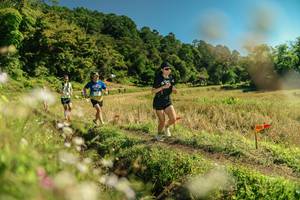 BIB: 
                            <button type="button" onclick="openModal(26698905)" class="btn btn-primary btn-sm float-right btn-popup" data-toggle="modal" data-target=".modal-high-quality">
                        <i class="fas fa-shopping-cart"></i> Add to Cart
                    </button>
                                            <button type="button" onclick="isThisMe(26698905, true)" class="btn btn-success btn-sm float-right btn-popup btn-isme hidden" data-toggle="tooltip" data-placement="bottom" title="นี่คือรูปของคุณใช่ไหม คลิกที่นี่เพื่อเอาเข้าอัลบั้ม">
                        <i class="fas fa-plus"></i> Add to album
                    </button>
                    <button type="button" onclick="isThisMe(26698905, false)" class="btn btn-warning btn-sm float-right btn-popup btn-isnotme hidden">
                        <i class="fas fa-ban"></i> Remove from album
                    </button>