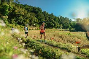 BIB: 
                            <button type="button" onclick="openModal(26637875)" class="btn btn-primary btn-sm float-right btn-popup" data-toggle="modal" data-target=".modal-high-quality">
                        <i class="fas fa-shopping-cart"></i> Add to Cart
                    </button>
                                            <button type="button" onclick="isThisMe(26637875, true)" class="btn btn-success btn-sm float-right btn-popup btn-isme hidden" data-toggle="tooltip" data-placement="bottom" title="นี่คือรูปของคุณใช่ไหม คลิกที่นี่เพื่อเอาเข้าอัลบั้ม">
                        <i class="fas fa-plus"></i> Add to album
                    </button>
                    <button type="button" onclick="isThisMe(26637875, false)" class="btn btn-warning btn-sm float-right btn-popup btn-isnotme hidden">
                        <i class="fas fa-ban"></i> Remove from album
                    </button>