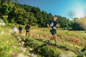 BIB: 
                            <button type="button" onclick="openModal(26638440)" class="btn btn-primary btn-sm float-right btn-popup" data-toggle="modal" data-target=".modal-high-quality">
                        <i class="fas fa-shopping-cart"></i> Add to Cart
                    </button>
                                            <button type="button" onclick="isThisMe(26638440, true)" class="btn btn-success btn-sm float-right btn-popup btn-isme hidden" data-toggle="tooltip" data-placement="bottom" title="นี่คือรูปของคุณใช่ไหม คลิกที่นี่เพื่อเอาเข้าอัลบั้ม">
                        <i class="fas fa-plus"></i> Add to album
                    </button>
                    <button type="button" onclick="isThisMe(26638440, false)" class="btn btn-warning btn-sm float-right btn-popup btn-isnotme hidden">
                        <i class="fas fa-ban"></i> Remove from album
                    </button>