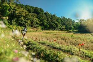 BIB: 
                            <button type="button" onclick="openModal(26638259)" class="btn btn-primary btn-sm float-right btn-popup" data-toggle="modal" data-target=".modal-high-quality">
                        <i class="fas fa-shopping-cart"></i> Add to Cart
                    </button>
                                            <button type="button" onclick="isThisMe(26638259, true)" class="btn btn-success btn-sm float-right btn-popup btn-isme hidden" data-toggle="tooltip" data-placement="bottom" title="นี่คือรูปของคุณใช่ไหม คลิกที่นี่เพื่อเอาเข้าอัลบั้ม">
                        <i class="fas fa-plus"></i> Add to album
                    </button>
                    <button type="button" onclick="isThisMe(26638259, false)" class="btn btn-warning btn-sm float-right btn-popup btn-isnotme hidden">
                        <i class="fas fa-ban"></i> Remove from album
                    </button>