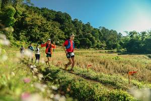 BIB: 
                            <button type="button" onclick="openModal(26637296)" class="btn btn-primary btn-sm float-right btn-popup" data-toggle="modal" data-target=".modal-high-quality">
                        <i class="fas fa-shopping-cart"></i> Add to Cart
                    </button>
                                            <button type="button" onclick="isThisMe(26637296, true)" class="btn btn-success btn-sm float-right btn-popup btn-isme hidden" data-toggle="tooltip" data-placement="bottom" title="นี่คือรูปของคุณใช่ไหม คลิกที่นี่เพื่อเอาเข้าอัลบั้ม">
                        <i class="fas fa-plus"></i> Add to album
                    </button>
                    <button type="button" onclick="isThisMe(26637296, false)" class="btn btn-warning btn-sm float-right btn-popup btn-isnotme hidden">
                        <i class="fas fa-ban"></i> Remove from album
                    </button>