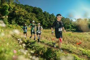 BIB: 
                            <button type="button" onclick="openModal(26674855)" class="btn btn-primary btn-sm float-right btn-popup" data-toggle="modal" data-target=".modal-high-quality">
                        <i class="fas fa-shopping-cart"></i> Add to Cart
                    </button>
                                            <button type="button" onclick="isThisMe(26674855, true)" class="btn btn-success btn-sm float-right btn-popup btn-isme hidden" data-toggle="tooltip" data-placement="bottom" title="นี่คือรูปของคุณใช่ไหม คลิกที่นี่เพื่อเอาเข้าอัลบั้ม">
                        <i class="fas fa-plus"></i> Add to album
                    </button>
                    <button type="button" onclick="isThisMe(26674855, false)" class="btn btn-warning btn-sm float-right btn-popup btn-isnotme hidden">
                        <i class="fas fa-ban"></i> Remove from album
                    </button>