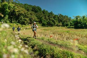 BIB: 
                            <button type="button" onclick="openModal(26724932)" class="btn btn-primary btn-sm float-right btn-popup" data-toggle="modal" data-target=".modal-high-quality">
                        <i class="fas fa-shopping-cart"></i> Add to Cart
                    </button>
                                            <button type="button" onclick="isThisMe(26724932, true)" class="btn btn-success btn-sm float-right btn-popup btn-isme hidden" data-toggle="tooltip" data-placement="bottom" title="นี่คือรูปของคุณใช่ไหม คลิกที่นี่เพื่อเอาเข้าอัลบั้ม">
                        <i class="fas fa-plus"></i> Add to album
                    </button>
                    <button type="button" onclick="isThisMe(26724932, false)" class="btn btn-warning btn-sm float-right btn-popup btn-isnotme hidden">
                        <i class="fas fa-ban"></i> Remove from album
                    </button>