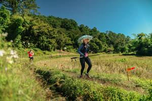 BIB: 
                            <button type="button" onclick="openModal(26719739)" class="btn btn-primary btn-sm float-right btn-popup" data-toggle="modal" data-target=".modal-high-quality">
                        <i class="fas fa-shopping-cart"></i> Add to Cart
                    </button>
                                            <button type="button" onclick="isThisMe(26719739, true)" class="btn btn-success btn-sm float-right btn-popup btn-isme hidden" data-toggle="tooltip" data-placement="bottom" title="นี่คือรูปของคุณใช่ไหม คลิกที่นี่เพื่อเอาเข้าอัลบั้ม">
                        <i class="fas fa-plus"></i> Add to album
                    </button>
                    <button type="button" onclick="isThisMe(26719739, false)" class="btn btn-warning btn-sm float-right btn-popup btn-isnotme hidden">
                        <i class="fas fa-ban"></i> Remove from album
                    </button>