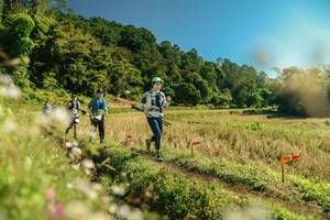 BIB: 
                            <button type="button" onclick="openModal(26689589)" class="btn btn-primary btn-sm float-right btn-popup" data-toggle="modal" data-target=".modal-high-quality">
                        <i class="fas fa-shopping-cart"></i> Add to Cart
                    </button>
                                            <button type="button" onclick="isThisMe(26689589, true)" class="btn btn-success btn-sm float-right btn-popup btn-isme hidden" data-toggle="tooltip" data-placement="bottom" title="นี่คือรูปของคุณใช่ไหม คลิกที่นี่เพื่อเอาเข้าอัลบั้ม">
                        <i class="fas fa-plus"></i> Add to album
                    </button>
                    <button type="button" onclick="isThisMe(26689589, false)" class="btn btn-warning btn-sm float-right btn-popup btn-isnotme hidden">
                        <i class="fas fa-ban"></i> Remove from album
                    </button>