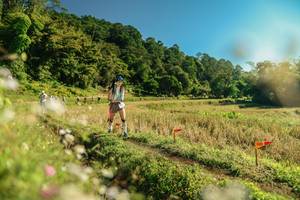 BIB: 
                            <button type="button" onclick="openModal(26669763)" class="btn btn-primary btn-sm float-right btn-popup" data-toggle="modal" data-target=".modal-high-quality">
                        <i class="fas fa-shopping-cart"></i> Add to Cart
                    </button>
                                            <button type="button" onclick="isThisMe(26669763, true)" class="btn btn-success btn-sm float-right btn-popup btn-isme hidden" data-toggle="tooltip" data-placement="bottom" title="นี่คือรูปของคุณใช่ไหม คลิกที่นี่เพื่อเอาเข้าอัลบั้ม">
                        <i class="fas fa-plus"></i> Add to album
                    </button>
                    <button type="button" onclick="isThisMe(26669763, false)" class="btn btn-warning btn-sm float-right btn-popup btn-isnotme hidden">
                        <i class="fas fa-ban"></i> Remove from album
                    </button>