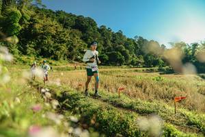 BIB: 
                            <button type="button" onclick="openModal(26636970)" class="btn btn-primary btn-sm float-right btn-popup" data-toggle="modal" data-target=".modal-high-quality">
                        <i class="fas fa-shopping-cart"></i> Add to Cart
                    </button>
                                            <button type="button" onclick="isThisMe(26636970, true)" class="btn btn-success btn-sm float-right btn-popup btn-isme hidden" data-toggle="tooltip" data-placement="bottom" title="นี่คือรูปของคุณใช่ไหม คลิกที่นี่เพื่อเอาเข้าอัลบั้ม">
                        <i class="fas fa-plus"></i> Add to album
                    </button>
                    <button type="button" onclick="isThisMe(26636970, false)" class="btn btn-warning btn-sm float-right btn-popup btn-isnotme hidden">
                        <i class="fas fa-ban"></i> Remove from album
                    </button>