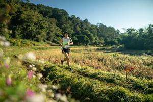 BIB: 
                            <button type="button" onclick="openModal(26631761)" class="btn btn-primary btn-sm float-right btn-popup" data-toggle="modal" data-target=".modal-high-quality">
                        <i class="fas fa-shopping-cart"></i> Add to Cart
                    </button>
                                            <button type="button" onclick="isThisMe(26631761, true)" class="btn btn-success btn-sm float-right btn-popup btn-isme hidden" data-toggle="tooltip" data-placement="bottom" title="นี่คือรูปของคุณใช่ไหม คลิกที่นี่เพื่อเอาเข้าอัลบั้ม">
                        <i class="fas fa-plus"></i> Add to album
                    </button>
                    <button type="button" onclick="isThisMe(26631761, false)" class="btn btn-warning btn-sm float-right btn-popup btn-isnotme hidden">
                        <i class="fas fa-ban"></i> Remove from album
                    </button>