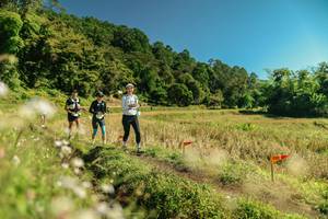 BIB: 
                            <button type="button" onclick="openModal(26712505)" class="btn btn-primary btn-sm float-right btn-popup" data-toggle="modal" data-target=".modal-high-quality">
                        <i class="fas fa-shopping-cart"></i> Add to Cart
                    </button>
                                            <button type="button" onclick="isThisMe(26712505, true)" class="btn btn-success btn-sm float-right btn-popup btn-isme hidden" data-toggle="tooltip" data-placement="bottom" title="นี่คือรูปของคุณใช่ไหม คลิกที่นี่เพื่อเอาเข้าอัลบั้ม">
                        <i class="fas fa-plus"></i> Add to album
                    </button>
                    <button type="button" onclick="isThisMe(26712505, false)" class="btn btn-warning btn-sm float-right btn-popup btn-isnotme hidden">
                        <i class="fas fa-ban"></i> Remove from album
                    </button>