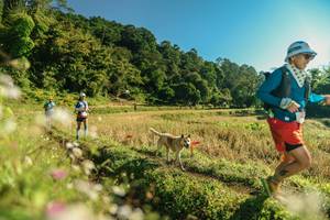 BIB: 
                            <button type="button" onclick="openModal(26637213)" class="btn btn-primary btn-sm float-right btn-popup" data-toggle="modal" data-target=".modal-high-quality">
                        <i class="fas fa-shopping-cart"></i> Add to Cart
                    </button>
                                            <button type="button" onclick="isThisMe(26637213, true)" class="btn btn-success btn-sm float-right btn-popup btn-isme hidden" data-toggle="tooltip" data-placement="bottom" title="นี่คือรูปของคุณใช่ไหม คลิกที่นี่เพื่อเอาเข้าอัลบั้ม">
                        <i class="fas fa-plus"></i> Add to album
                    </button>
                    <button type="button" onclick="isThisMe(26637213, false)" class="btn btn-warning btn-sm float-right btn-popup btn-isnotme hidden">
                        <i class="fas fa-ban"></i> Remove from album
                    </button>