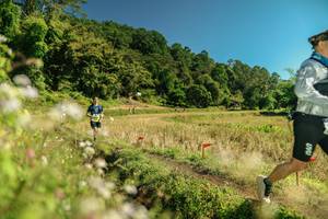 BIB: 
                            <button type="button" onclick="openModal(26711159)" class="btn btn-primary btn-sm float-right btn-popup" data-toggle="modal" data-target=".modal-high-quality">
                        <i class="fas fa-shopping-cart"></i> Add to Cart
                    </button>
                                            <button type="button" onclick="isThisMe(26711159, true)" class="btn btn-success btn-sm float-right btn-popup btn-isme hidden" data-toggle="tooltip" data-placement="bottom" title="นี่คือรูปของคุณใช่ไหม คลิกที่นี่เพื่อเอาเข้าอัลบั้ม">
                        <i class="fas fa-plus"></i> Add to album
                    </button>
                    <button type="button" onclick="isThisMe(26711159, false)" class="btn btn-warning btn-sm float-right btn-popup btn-isnotme hidden">
                        <i class="fas fa-ban"></i> Remove from album
                    </button>