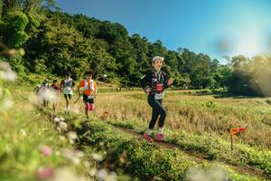 BIB: 
                            <button type="button" onclick="openModal(26638385)" class="btn btn-primary btn-sm float-right btn-popup" data-toggle="modal" data-target=".modal-high-quality">
                        <i class="fas fa-shopping-cart"></i> Add to Cart
                    </button>
                                            <button type="button" onclick="isThisMe(26638385, true)" class="btn btn-success btn-sm float-right btn-popup btn-isme hidden" data-toggle="tooltip" data-placement="bottom" title="นี่คือรูปของคุณใช่ไหม คลิกที่นี่เพื่อเอาเข้าอัลบั้ม">
                        <i class="fas fa-plus"></i> Add to album
                    </button>
                    <button type="button" onclick="isThisMe(26638385, false)" class="btn btn-warning btn-sm float-right btn-popup btn-isnotme hidden">
                        <i class="fas fa-ban"></i> Remove from album
                    </button>