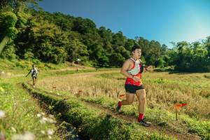 BIB: 
                            <button type="button" onclick="openModal(26697113)" class="btn btn-primary btn-sm float-right btn-popup" data-toggle="modal" data-target=".modal-high-quality">
                        <i class="fas fa-shopping-cart"></i> Add to Cart
                    </button>
                                            <button type="button" onclick="isThisMe(26697113, true)" class="btn btn-success btn-sm float-right btn-popup btn-isme hidden" data-toggle="tooltip" data-placement="bottom" title="นี่คือรูปของคุณใช่ไหม คลิกที่นี่เพื่อเอาเข้าอัลบั้ม">
                        <i class="fas fa-plus"></i> Add to album
                    </button>
                    <button type="button" onclick="isThisMe(26697113, false)" class="btn btn-warning btn-sm float-right btn-popup btn-isnotme hidden">
                        <i class="fas fa-ban"></i> Remove from album
                    </button>