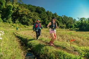 BIB: 
                            <button type="button" onclick="openModal(26694570)" class="btn btn-primary btn-sm float-right btn-popup" data-toggle="modal" data-target=".modal-high-quality">
                        <i class="fas fa-shopping-cart"></i> Add to Cart
                    </button>
                                            <button type="button" onclick="isThisMe(26694570, true)" class="btn btn-success btn-sm float-right btn-popup btn-isme hidden" data-toggle="tooltip" data-placement="bottom" title="นี่คือรูปของคุณใช่ไหม คลิกที่นี่เพื่อเอาเข้าอัลบั้ม">
                        <i class="fas fa-plus"></i> Add to album
                    </button>
                    <button type="button" onclick="isThisMe(26694570, false)" class="btn btn-warning btn-sm float-right btn-popup btn-isnotme hidden">
                        <i class="fas fa-ban"></i> Remove from album
                    </button>