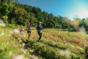 BIB: 
                            <button type="button" onclick="openModal(26637013)" class="btn btn-primary btn-sm float-right btn-popup" data-toggle="modal" data-target=".modal-high-quality">
                        <i class="fas fa-shopping-cart"></i> Add to Cart
                    </button>
                                            <button type="button" onclick="isThisMe(26637013, true)" class="btn btn-success btn-sm float-right btn-popup btn-isme hidden" data-toggle="tooltip" data-placement="bottom" title="นี่คือรูปของคุณใช่ไหม คลิกที่นี่เพื่อเอาเข้าอัลบั้ม">
                        <i class="fas fa-plus"></i> Add to album
                    </button>
                    <button type="button" onclick="isThisMe(26637013, false)" class="btn btn-warning btn-sm float-right btn-popup btn-isnotme hidden">
                        <i class="fas fa-ban"></i> Remove from album
                    </button>