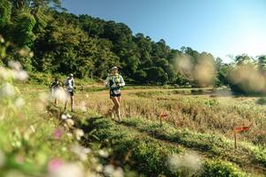 BIB: 
                            <button type="button" onclick="openModal(26635624)" class="btn btn-primary btn-sm float-right btn-popup" data-toggle="modal" data-target=".modal-high-quality">
                        <i class="fas fa-shopping-cart"></i> Add to Cart
                    </button>
                                            <button type="button" onclick="isThisMe(26635624, true)" class="btn btn-success btn-sm float-right btn-popup btn-isme hidden" data-toggle="tooltip" data-placement="bottom" title="นี่คือรูปของคุณใช่ไหม คลิกที่นี่เพื่อเอาเข้าอัลบั้ม">
                        <i class="fas fa-plus"></i> Add to album
                    </button>
                    <button type="button" onclick="isThisMe(26635624, false)" class="btn btn-warning btn-sm float-right btn-popup btn-isnotme hidden">
                        <i class="fas fa-ban"></i> Remove from album
                    </button>