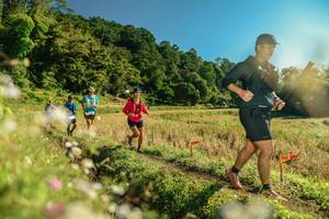 BIB: 
                            <button type="button" onclick="openModal(26638771)" class="btn btn-primary btn-sm float-right btn-popup" data-toggle="modal" data-target=".modal-high-quality">
                        <i class="fas fa-shopping-cart"></i> Add to Cart
                    </button>
                                            <button type="button" onclick="isThisMe(26638771, true)" class="btn btn-success btn-sm float-right btn-popup btn-isme hidden" data-toggle="tooltip" data-placement="bottom" title="นี่คือรูปของคุณใช่ไหม คลิกที่นี่เพื่อเอาเข้าอัลบั้ม">
                        <i class="fas fa-plus"></i> Add to album
                    </button>
                    <button type="button" onclick="isThisMe(26638771, false)" class="btn btn-warning btn-sm float-right btn-popup btn-isnotme hidden">
                        <i class="fas fa-ban"></i> Remove from album
                    </button>