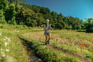 BIB: 
                            <button type="button" onclick="openModal(26716405)" class="btn btn-primary btn-sm float-right btn-popup" data-toggle="modal" data-target=".modal-high-quality">
                        <i class="fas fa-shopping-cart"></i> Add to Cart
                    </button>
                                            <button type="button" onclick="isThisMe(26716405, true)" class="btn btn-success btn-sm float-right btn-popup btn-isme hidden" data-toggle="tooltip" data-placement="bottom" title="นี่คือรูปของคุณใช่ไหม คลิกที่นี่เพื่อเอาเข้าอัลบั้ม">
                        <i class="fas fa-plus"></i> Add to album
                    </button>
                    <button type="button" onclick="isThisMe(26716405, false)" class="btn btn-warning btn-sm float-right btn-popup btn-isnotme hidden">
                        <i class="fas fa-ban"></i> Remove from album
                    </button>