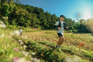 BIB: 
                            <button type="button" onclick="openModal(26637572)" class="btn btn-primary btn-sm float-right btn-popup" data-toggle="modal" data-target=".modal-high-quality">
                        <i class="fas fa-shopping-cart"></i> Add to Cart
                    </button>
                                            <button type="button" onclick="isThisMe(26637572, true)" class="btn btn-success btn-sm float-right btn-popup btn-isme hidden" data-toggle="tooltip" data-placement="bottom" title="นี่คือรูปของคุณใช่ไหม คลิกที่นี่เพื่อเอาเข้าอัลบั้ม">
                        <i class="fas fa-plus"></i> Add to album
                    </button>
                    <button type="button" onclick="isThisMe(26637572, false)" class="btn btn-warning btn-sm float-right btn-popup btn-isnotme hidden">
                        <i class="fas fa-ban"></i> Remove from album
                    </button>