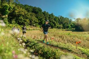 BIB: 
                            <button type="button" onclick="openModal(26688473)" class="btn btn-primary btn-sm float-right btn-popup" data-toggle="modal" data-target=".modal-high-quality">
                        <i class="fas fa-shopping-cart"></i> Add to Cart
                    </button>
                                            <button type="button" onclick="isThisMe(26688473, true)" class="btn btn-success btn-sm float-right btn-popup btn-isme hidden" data-toggle="tooltip" data-placement="bottom" title="นี่คือรูปของคุณใช่ไหม คลิกที่นี่เพื่อเอาเข้าอัลบั้ม">
                        <i class="fas fa-plus"></i> Add to album
                    </button>
                    <button type="button" onclick="isThisMe(26688473, false)" class="btn btn-warning btn-sm float-right btn-popup btn-isnotme hidden">
                        <i class="fas fa-ban"></i> Remove from album
                    </button>