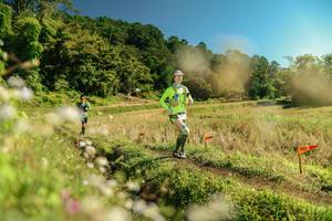 BIB: 
                            <button type="button" onclick="openModal(26694810)" class="btn btn-primary btn-sm float-right btn-popup" data-toggle="modal" data-target=".modal-high-quality">
                        <i class="fas fa-shopping-cart"></i> Add to Cart
                    </button>
                                            <button type="button" onclick="isThisMe(26694810, true)" class="btn btn-success btn-sm float-right btn-popup btn-isme hidden" data-toggle="tooltip" data-placement="bottom" title="นี่คือรูปของคุณใช่ไหม คลิกที่นี่เพื่อเอาเข้าอัลบั้ม">
                        <i class="fas fa-plus"></i> Add to album
                    </button>
                    <button type="button" onclick="isThisMe(26694810, false)" class="btn btn-warning btn-sm float-right btn-popup btn-isnotme hidden">
                        <i class="fas fa-ban"></i> Remove from album
                    </button>