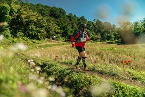 BIB: 
                            <button type="button" onclick="openModal(26699661)" class="btn btn-primary btn-sm float-right btn-popup" data-toggle="modal" data-target=".modal-high-quality">
                        <i class="fas fa-shopping-cart"></i> Add to Cart
                    </button>
                                            <button type="button" onclick="isThisMe(26699661, true)" class="btn btn-success btn-sm float-right btn-popup btn-isme hidden" data-toggle="tooltip" data-placement="bottom" title="นี่คือรูปของคุณใช่ไหม คลิกที่นี่เพื่อเอาเข้าอัลบั้ม">
                        <i class="fas fa-plus"></i> Add to album
                    </button>
                    <button type="button" onclick="isThisMe(26699661, false)" class="btn btn-warning btn-sm float-right btn-popup btn-isnotme hidden">
                        <i class="fas fa-ban"></i> Remove from album
                    </button>