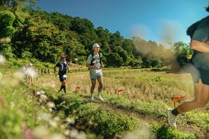 BIB: 
                            <button type="button" onclick="openModal(26700467)" class="btn btn-primary btn-sm float-right btn-popup" data-toggle="modal" data-target=".modal-high-quality">
                        <i class="fas fa-shopping-cart"></i> Add to Cart
                    </button>
                                            <button type="button" onclick="isThisMe(26700467, true)" class="btn btn-success btn-sm float-right btn-popup btn-isme hidden" data-toggle="tooltip" data-placement="bottom" title="นี่คือรูปของคุณใช่ไหม คลิกที่นี่เพื่อเอาเข้าอัลบั้ม">
                        <i class="fas fa-plus"></i> Add to album
                    </button>
                    <button type="button" onclick="isThisMe(26700467, false)" class="btn btn-warning btn-sm float-right btn-popup btn-isnotme hidden">
                        <i class="fas fa-ban"></i> Remove from album
                    </button>