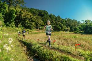 BIB: 
                            <button type="button" onclick="openModal(26694487)" class="btn btn-primary btn-sm float-right btn-popup" data-toggle="modal" data-target=".modal-high-quality">
                        <i class="fas fa-shopping-cart"></i> Add to Cart
                    </button>
                                            <button type="button" onclick="isThisMe(26694487, true)" class="btn btn-success btn-sm float-right btn-popup btn-isme hidden" data-toggle="tooltip" data-placement="bottom" title="นี่คือรูปของคุณใช่ไหม คลิกที่นี่เพื่อเอาเข้าอัลบั้ม">
                        <i class="fas fa-plus"></i> Add to album
                    </button>
                    <button type="button" onclick="isThisMe(26694487, false)" class="btn btn-warning btn-sm float-right btn-popup btn-isnotme hidden">
                        <i class="fas fa-ban"></i> Remove from album
                    </button>