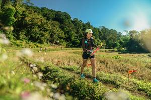 BIB: 
                            <button type="button" onclick="openModal(26637824)" class="btn btn-primary btn-sm float-right btn-popup" data-toggle="modal" data-target=".modal-high-quality">
                        <i class="fas fa-shopping-cart"></i> Add to Cart
                    </button>
                                            <button type="button" onclick="isThisMe(26637824, true)" class="btn btn-success btn-sm float-right btn-popup btn-isme hidden" data-toggle="tooltip" data-placement="bottom" title="นี่คือรูปของคุณใช่ไหม คลิกที่นี่เพื่อเอาเข้าอัลบั้ม">
                        <i class="fas fa-plus"></i> Add to album
                    </button>
                    <button type="button" onclick="isThisMe(26637824, false)" class="btn btn-warning btn-sm float-right btn-popup btn-isnotme hidden">
                        <i class="fas fa-ban"></i> Remove from album
                    </button>