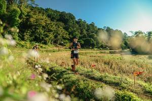 BIB: 
                            <button type="button" onclick="openModal(26636164)" class="btn btn-primary btn-sm float-right btn-popup" data-toggle="modal" data-target=".modal-high-quality">
                        <i class="fas fa-shopping-cart"></i> Add to Cart
                    </button>
                                            <button type="button" onclick="isThisMe(26636164, true)" class="btn btn-success btn-sm float-right btn-popup btn-isme hidden" data-toggle="tooltip" data-placement="bottom" title="นี่คือรูปของคุณใช่ไหม คลิกที่นี่เพื่อเอาเข้าอัลบั้ม">
                        <i class="fas fa-plus"></i> Add to album
                    </button>
                    <button type="button" onclick="isThisMe(26636164, false)" class="btn btn-warning btn-sm float-right btn-popup btn-isnotme hidden">
                        <i class="fas fa-ban"></i> Remove from album
                    </button>