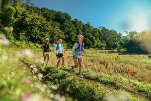 BIB: 
                            <button type="button" onclick="openModal(26637655)" class="btn btn-primary btn-sm float-right btn-popup" data-toggle="modal" data-target=".modal-high-quality">
                        <i class="fas fa-shopping-cart"></i> Add to Cart
                    </button>
                                            <button type="button" onclick="isThisMe(26637655, true)" class="btn btn-success btn-sm float-right btn-popup btn-isme hidden" data-toggle="tooltip" data-placement="bottom" title="นี่คือรูปของคุณใช่ไหม คลิกที่นี่เพื่อเอาเข้าอัลบั้ม">
                        <i class="fas fa-plus"></i> Add to album
                    </button>
                    <button type="button" onclick="isThisMe(26637655, false)" class="btn btn-warning btn-sm float-right btn-popup btn-isnotme hidden">
                        <i class="fas fa-ban"></i> Remove from album
                    </button>