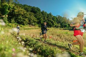 BIB: 
                            <button type="button" onclick="openModal(26681941)" class="btn btn-primary btn-sm float-right btn-popup" data-toggle="modal" data-target=".modal-high-quality">
                        <i class="fas fa-shopping-cart"></i> Add to Cart
                    </button>
                                            <button type="button" onclick="isThisMe(26681941, true)" class="btn btn-success btn-sm float-right btn-popup btn-isme hidden" data-toggle="tooltip" data-placement="bottom" title="นี่คือรูปของคุณใช่ไหม คลิกที่นี่เพื่อเอาเข้าอัลบั้ม">
                        <i class="fas fa-plus"></i> Add to album
                    </button>
                    <button type="button" onclick="isThisMe(26681941, false)" class="btn btn-warning btn-sm float-right btn-popup btn-isnotme hidden">
                        <i class="fas fa-ban"></i> Remove from album
                    </button>