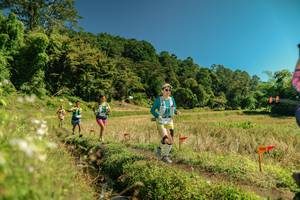 BIB: 
                            <button type="button" onclick="openModal(26717219)" class="btn btn-primary btn-sm float-right btn-popup" data-toggle="modal" data-target=".modal-high-quality">
                        <i class="fas fa-shopping-cart"></i> Add to Cart
                    </button>
                                            <button type="button" onclick="isThisMe(26717219, true)" class="btn btn-success btn-sm float-right btn-popup btn-isme hidden" data-toggle="tooltip" data-placement="bottom" title="นี่คือรูปของคุณใช่ไหม คลิกที่นี่เพื่อเอาเข้าอัลบั้ม">
                        <i class="fas fa-plus"></i> Add to album
                    </button>
                    <button type="button" onclick="isThisMe(26717219, false)" class="btn btn-warning btn-sm float-right btn-popup btn-isnotme hidden">
                        <i class="fas fa-ban"></i> Remove from album
                    </button>