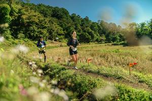 BIB: 
                            <button type="button" onclick="openModal(26698081)" class="btn btn-primary btn-sm float-right btn-popup" data-toggle="modal" data-target=".modal-high-quality">
                        <i class="fas fa-shopping-cart"></i> Add to Cart
                    </button>
                                            <button type="button" onclick="isThisMe(26698081, true)" class="btn btn-success btn-sm float-right btn-popup btn-isme hidden" data-toggle="tooltip" data-placement="bottom" title="นี่คือรูปของคุณใช่ไหม คลิกที่นี่เพื่อเอาเข้าอัลบั้ม">
                        <i class="fas fa-plus"></i> Add to album
                    </button>
                    <button type="button" onclick="isThisMe(26698081, false)" class="btn btn-warning btn-sm float-right btn-popup btn-isnotme hidden">
                        <i class="fas fa-ban"></i> Remove from album
                    </button>