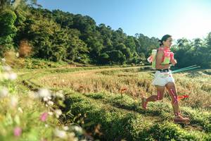 BIB: 
                            <button type="button" onclick="openModal(26632728)" class="btn btn-primary btn-sm float-right btn-popup" data-toggle="modal" data-target=".modal-high-quality">
                        <i class="fas fa-shopping-cart"></i> Add to Cart
                    </button>
                                            <button type="button" onclick="isThisMe(26632728, true)" class="btn btn-success btn-sm float-right btn-popup btn-isme hidden" data-toggle="tooltip" data-placement="bottom" title="นี่คือรูปของคุณใช่ไหม คลิกที่นี่เพื่อเอาเข้าอัลบั้ม">
                        <i class="fas fa-plus"></i> Add to album
                    </button>
                    <button type="button" onclick="isThisMe(26632728, false)" class="btn btn-warning btn-sm float-right btn-popup btn-isnotme hidden">
                        <i class="fas fa-ban"></i> Remove from album
                    </button>