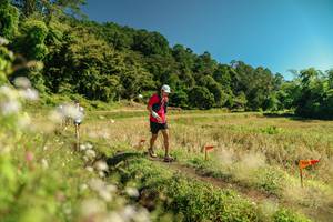 BIB: 
                            <button type="button" onclick="openModal(26710690)" class="btn btn-primary btn-sm float-right btn-popup" data-toggle="modal" data-target=".modal-high-quality">
                        <i class="fas fa-shopping-cart"></i> Add to Cart
                    </button>
                                            <button type="button" onclick="isThisMe(26710690, true)" class="btn btn-success btn-sm float-right btn-popup btn-isme hidden" data-toggle="tooltip" data-placement="bottom" title="นี่คือรูปของคุณใช่ไหม คลิกที่นี่เพื่อเอาเข้าอัลบั้ม">
                        <i class="fas fa-plus"></i> Add to album
                    </button>
                    <button type="button" onclick="isThisMe(26710690, false)" class="btn btn-warning btn-sm float-right btn-popup btn-isnotme hidden">
                        <i class="fas fa-ban"></i> Remove from album
                    </button>