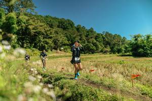 BIB: 
                            <button type="button" onclick="openModal(26733274)" class="btn btn-primary btn-sm float-right btn-popup" data-toggle="modal" data-target=".modal-high-quality">
                        <i class="fas fa-shopping-cart"></i> Add to Cart
                    </button>
                                            <button type="button" onclick="isThisMe(26733274, true)" class="btn btn-success btn-sm float-right btn-popup btn-isme hidden" data-toggle="tooltip" data-placement="bottom" title="นี่คือรูปของคุณใช่ไหม คลิกที่นี่เพื่อเอาเข้าอัลบั้ม">
                        <i class="fas fa-plus"></i> Add to album
                    </button>
                    <button type="button" onclick="isThisMe(26733274, false)" class="btn btn-warning btn-sm float-right btn-popup btn-isnotme hidden">
                        <i class="fas fa-ban"></i> Remove from album
                    </button>