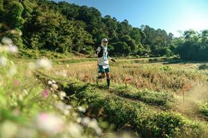 BIB: 
                            <button type="button" onclick="openModal(26634525)" class="btn btn-primary btn-sm float-right btn-popup" data-toggle="modal" data-target=".modal-high-quality">
                        <i class="fas fa-shopping-cart"></i> Add to Cart
                    </button>
                                            <button type="button" onclick="isThisMe(26634525, true)" class="btn btn-success btn-sm float-right btn-popup btn-isme hidden" data-toggle="tooltip" data-placement="bottom" title="นี่คือรูปของคุณใช่ไหม คลิกที่นี่เพื่อเอาเข้าอัลบั้ม">
                        <i class="fas fa-plus"></i> Add to album
                    </button>
                    <button type="button" onclick="isThisMe(26634525, false)" class="btn btn-warning btn-sm float-right btn-popup btn-isnotme hidden">
                        <i class="fas fa-ban"></i> Remove from album
                    </button>