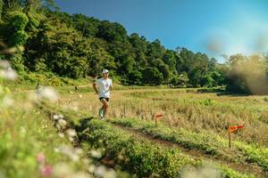 BIB: 
                            <button type="button" onclick="openModal(26689788)" class="btn btn-primary btn-sm float-right btn-popup" data-toggle="modal" data-target=".modal-high-quality">
                        <i class="fas fa-shopping-cart"></i> Add to Cart
                    </button>
                                            <button type="button" onclick="isThisMe(26689788, true)" class="btn btn-success btn-sm float-right btn-popup btn-isme hidden" data-toggle="tooltip" data-placement="bottom" title="นี่คือรูปของคุณใช่ไหม คลิกที่นี่เพื่อเอาเข้าอัลบั้ม">
                        <i class="fas fa-plus"></i> Add to album
                    </button>
                    <button type="button" onclick="isThisMe(26689788, false)" class="btn btn-warning btn-sm float-right btn-popup btn-isnotme hidden">
                        <i class="fas fa-ban"></i> Remove from album
                    </button>