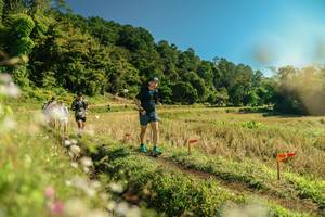 BIB: 
                            <button type="button" onclick="openModal(26688381)" class="btn btn-primary btn-sm float-right btn-popup" data-toggle="modal" data-target=".modal-high-quality">
                        <i class="fas fa-shopping-cart"></i> Add to Cart
                    </button>
                                            <button type="button" onclick="isThisMe(26688381, true)" class="btn btn-success btn-sm float-right btn-popup btn-isme hidden" data-toggle="tooltip" data-placement="bottom" title="นี่คือรูปของคุณใช่ไหม คลิกที่นี่เพื่อเอาเข้าอัลบั้ม">
                        <i class="fas fa-plus"></i> Add to album
                    </button>
                    <button type="button" onclick="isThisMe(26688381, false)" class="btn btn-warning btn-sm float-right btn-popup btn-isnotme hidden">
                        <i class="fas fa-ban"></i> Remove from album
                    </button>