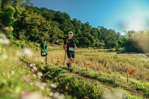 BIB: 
                            <button type="button" onclick="openModal(26637546)" class="btn btn-primary btn-sm float-right btn-popup" data-toggle="modal" data-target=".modal-high-quality">
                        <i class="fas fa-shopping-cart"></i> Add to Cart
                    </button>
                                            <button type="button" onclick="isThisMe(26637546, true)" class="btn btn-success btn-sm float-right btn-popup btn-isme hidden" data-toggle="tooltip" data-placement="bottom" title="นี่คือรูปของคุณใช่ไหม คลิกที่นี่เพื่อเอาเข้าอัลบั้ม">
                        <i class="fas fa-plus"></i> Add to album
                    </button>
                    <button type="button" onclick="isThisMe(26637546, false)" class="btn btn-warning btn-sm float-right btn-popup btn-isnotme hidden">
                        <i class="fas fa-ban"></i> Remove from album
                    </button>